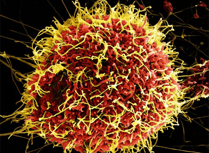 Image Industry News Extreme Resolution Breakthrough with Solid-State Harmonic Generation