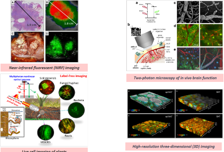 four different spectral imaging applications, showing illuminated biological samples