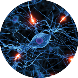 artists impression of neurons firing to illustrate life science, biophotonics, and research laser markets